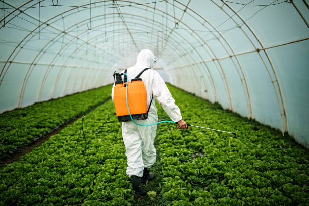 Reliable Oakland, CA Pest Control Solutions