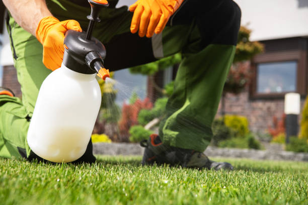 Best Rat Extermination Near Me  in Oakland, CA