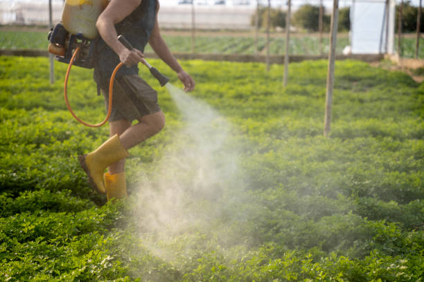 Best Commercial Pest Control Services  in Oakland, CA