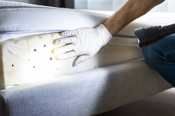 Best Bed Bug Extermination  in Oakland, CA